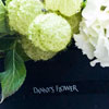 JOYCE CAFE. Danny's Flower